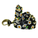 Obojok DAISY