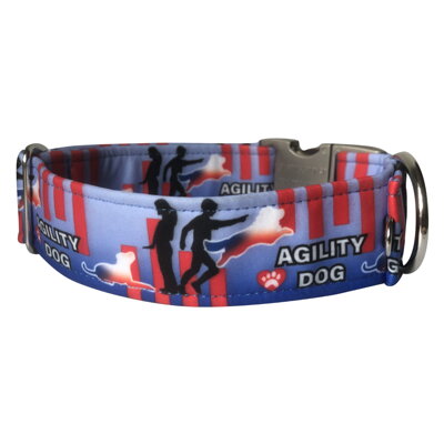 Obojok AGILITY BLUE