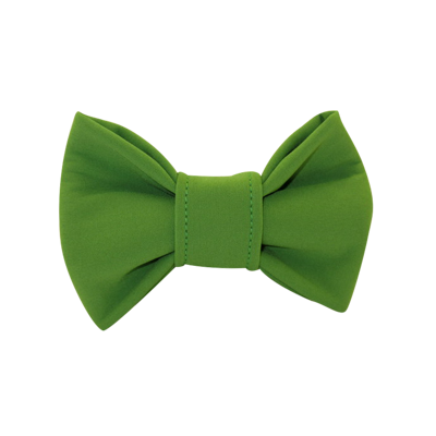 Motýlik GREEN
