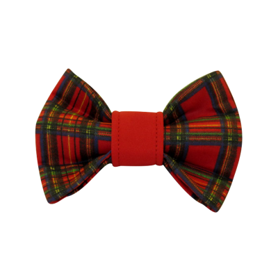 Motýlik SCOTTISH